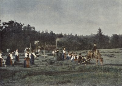 Haymaking in Dalecarlia, Sweden by European Photographer